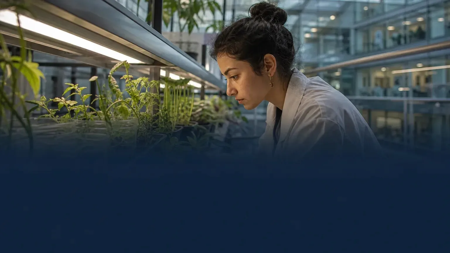 Editorial image illustrating: University of Manchester posts 2027 entry requirements for BSc Life Sciences with International Study