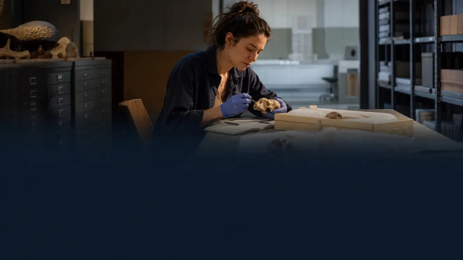 Editorial image illustrating: Smithsonian Institution Fellowship 2027-2028 opens in the USA for graduate, predoctoral, postdoctoral and senior researchers