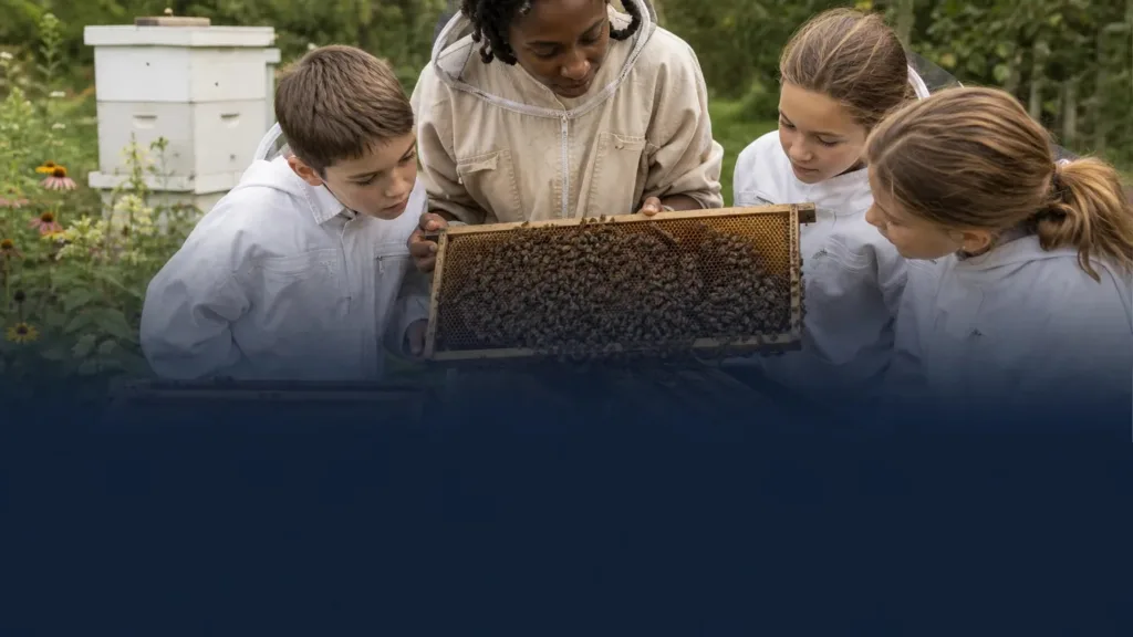 2027 Bee Grant opens with up to $2,000 for schools and nonprofits building bee education programs