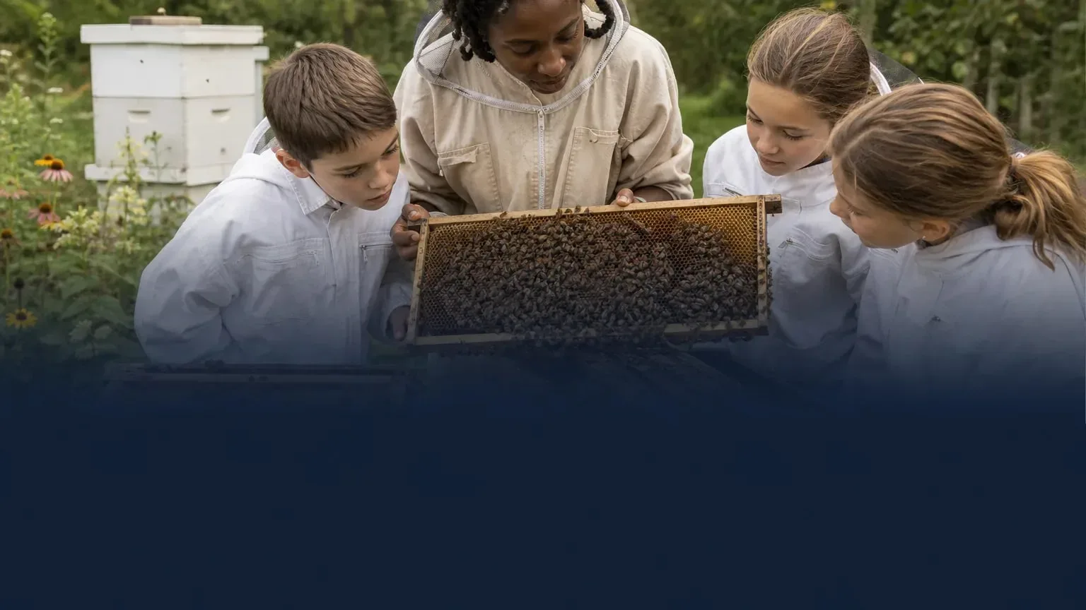 Editorial image illustrating: 2027 Bee Grant opens with up to $2,000 for schools and nonprofits building bee education programs