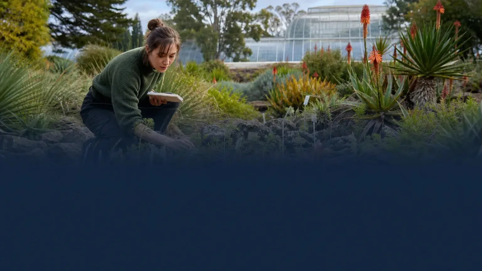 Editorial image illustrating: The Sibbald Scholarship offers £8,000 for MSc Biodiversity and Taxonomy of Plants at Edinburgh