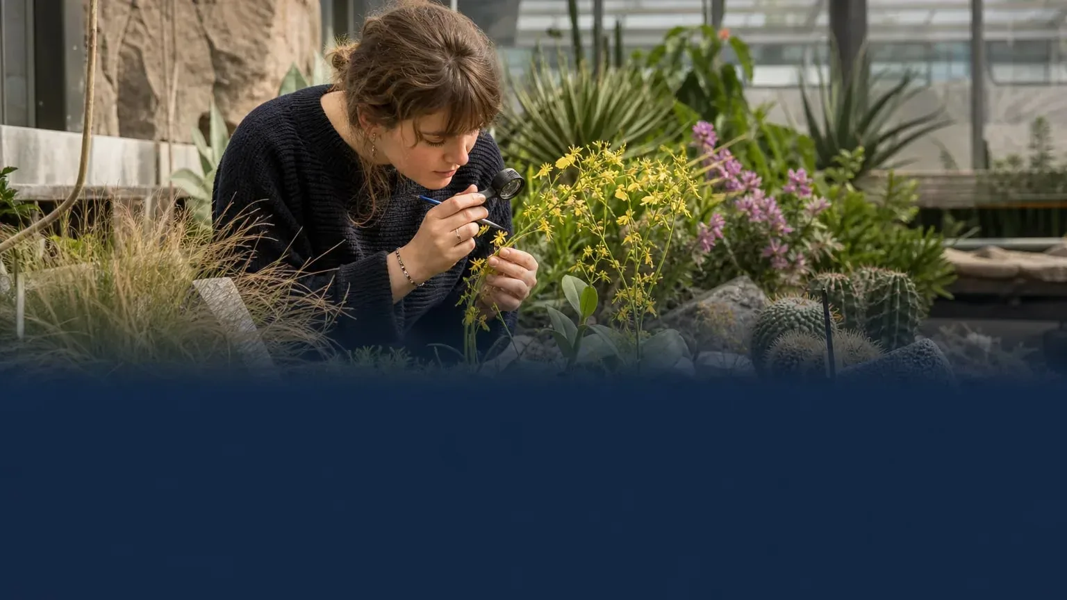 Editorial image illustrating: Carnegie-Morgan Scholarships at the University of Edinburgh will cover tuition for up to three MSc students