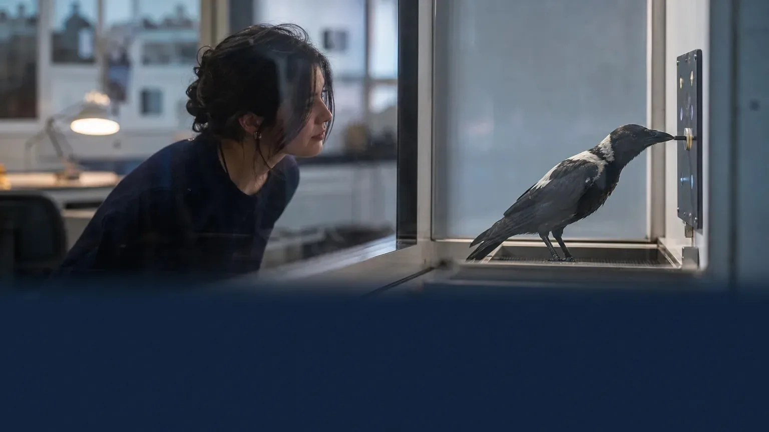 Editorial image illustrating: Northeastern to host ‘Animals + Technology’ event on designing for animal agency and care